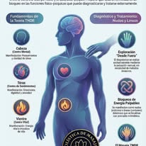 Infografía de bienestar corporal